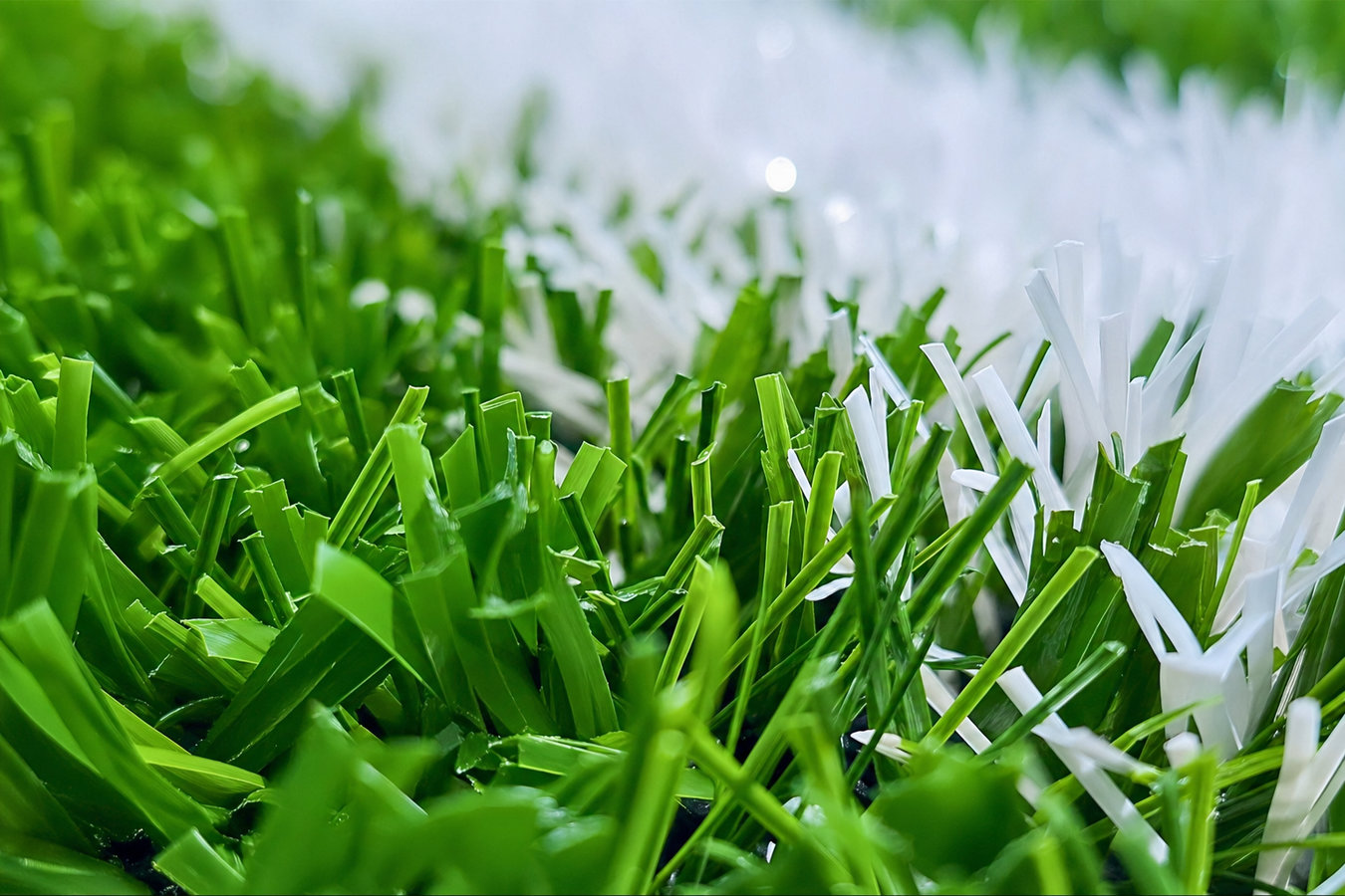 Sports turf supply in Harlingen, TX